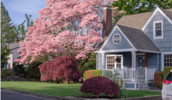 Bright day house in yard with blooming tree